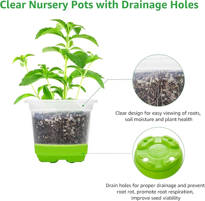 MIXC Thickened Clear Nursery Pots with Silicone Base for Easy Transplant 60 Packs 4 Inch, Transparent Plant Pot Reusable Seedling Pots for Vegetable Propagation, Root Cutting, Seed Starting, Green