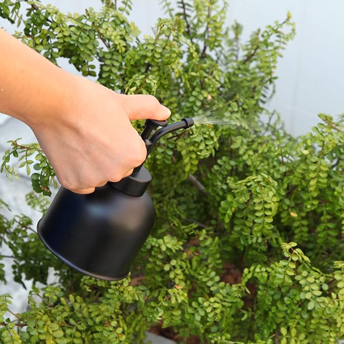 Plant Mister Spray Bottle, Metal Stainless Steel Plant Sprayer Mister, Small Watering Can Plant Spritzer with Top Pump for Indoor House Air Plants Succulents Outdoor Garden Decorative(Matte Black)
