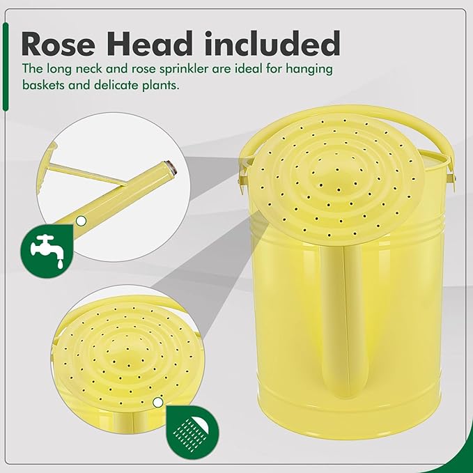 Galvanized Iron Watering Can for Indoor Plants, DIY Watering Cans for House Plant Garden Flower, Long Spout Water Can for Outdoor Watering Plants 6.44L 1.7Gallon (Beige)