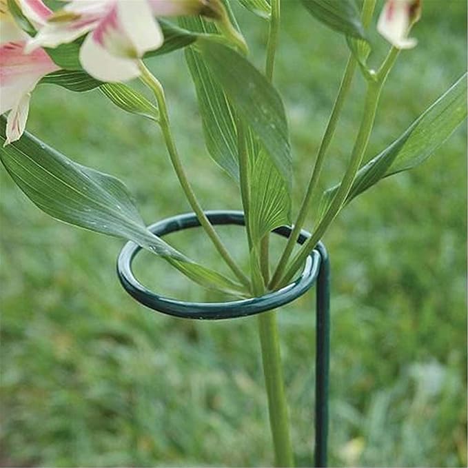 24 Inches Single Stem Plant Support Stakes Steel Garden Stakes Plant Atem Support, Pack of 20