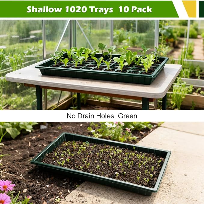 10 Pack Shallow 1020 Trays No Holes - Reusable 1.6" Deep Nursery Flats for 72/128 Cell Plug Tray, Heavy Duty Seed Starter Trays for Microgreens, Hydroponics & Seed Germination (Dark Green)