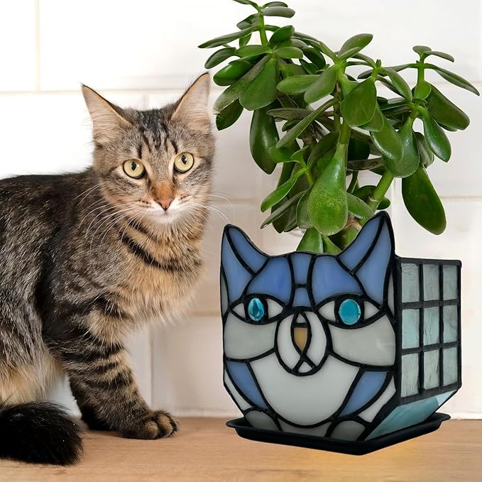 Indoor Plant Display Glass Container, Unique Pots for Plants, Glass Container Decoration,Suitable for Growing Small Plant 4.6x5.15x3 in（Excluding Plants）