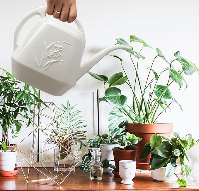 Plant Watering Can - 1/2 Gallon - White Color