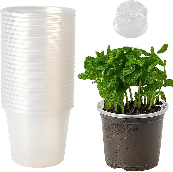 30 Packs Clear Nursery Pots with Drainage Hole 4 Inch Clear Pots for Plants Succulent Plant Pots Set Plastic Seedling Starting Pots Flower pots Planter Seed Starter, Clear