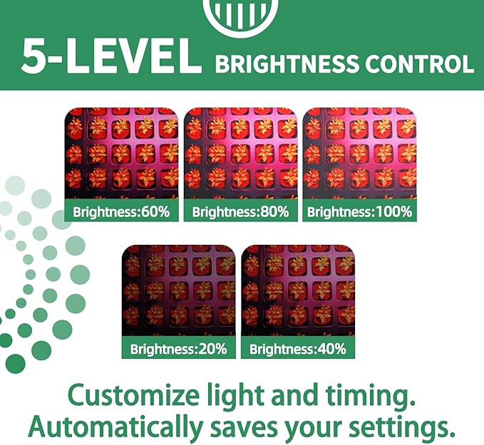 2 Pack 40-Cell Seed Starting Trays with Quad LED Grow Light, Indoor Garden Kit for Year-Round Vegetables, Includes Transplant Tools & Labels