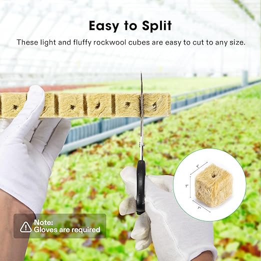 VIVOSUN 1 Inch Rockwool Cubes, 100 Plugs Grow Cubes for Hydroponics, Cuttings, Cloning, Plant Propagation, Seed Startling