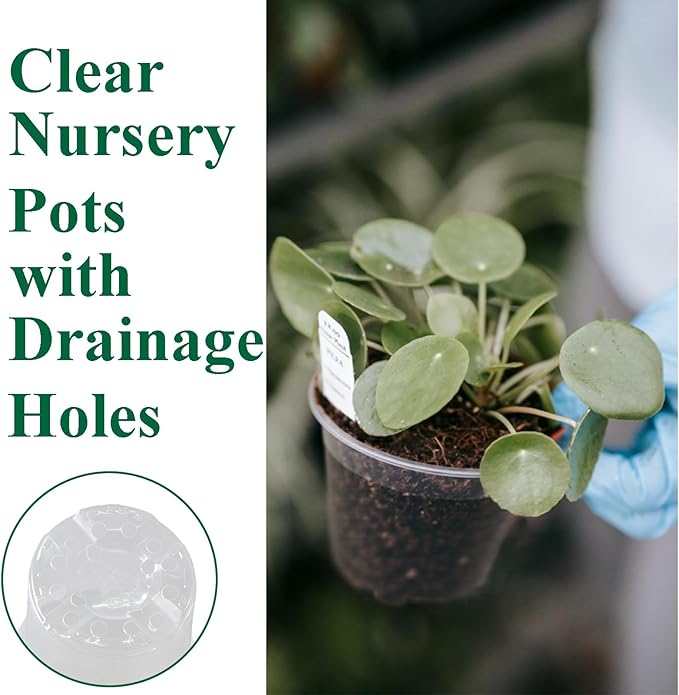 120 Packs Clear Nursery Pots with Drainage Hole 3.5 Inch Clear Pots for Plants Succulent Plant Pots Set Plastic Seedling Starting Pots Flower pots Planter Seed Starter, Clear