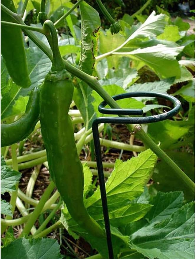 24 Inches Single Stem Plant Support Stakes Steel Garden Stakes Plant Atem Support, Pack of 20