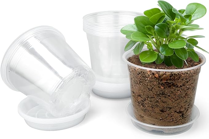 4 Inch Clear Nursery Pots with Drainage Trays, 15 Pack Plastic Pots for Plants, Clear Pot for Seed Starting, Transplanting, Succulents, and Indoor Gardening (4 inch)