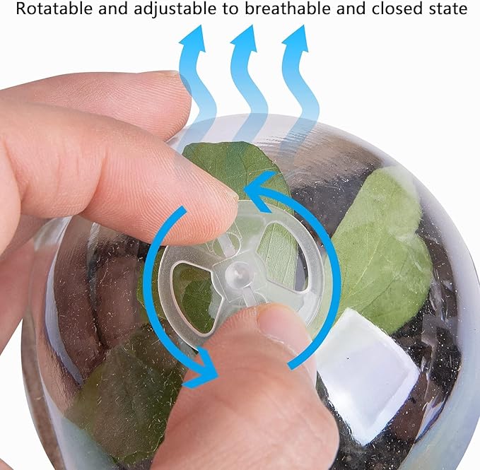 EBaokuup 40pcs Biodegradable Seeding Starter Pots for Planting - 3.1" Plant Nursery Pots with Humidity Dome - Peat Pots for Seedlings Garden Vegetable Flower Germination