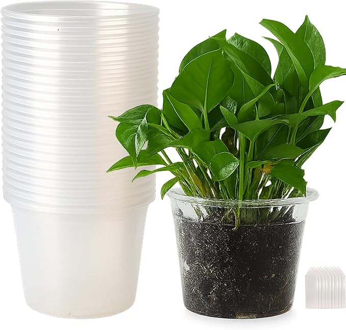 30 Packs Clear Nursery Pots with Drainage Hole 6.7 Inch Clear Pots for Plants Succulent Plant Pots Set Plastic Seedling Starting Pots Flower pots Planter Seed Starter, Clear