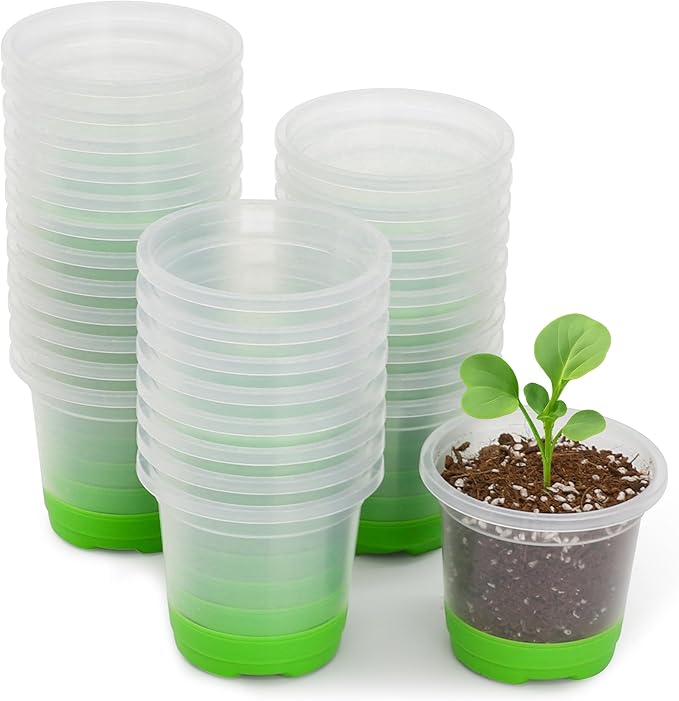 MIXC Thickened Clear Nursery Pots with Silicone Base for Easy Transplant 30 Packs 3.5 Inch, Transparent Plant Pot Reusable Seedling Pots for Vegetable Propagation, Root Cutting, Seed Starting, Green