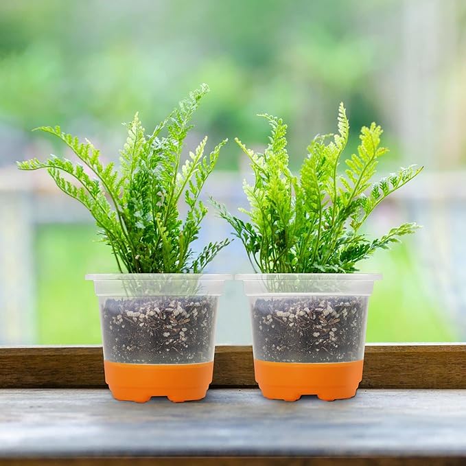 MIXC Thickened Clear Nursery Pots with Silicone Base for Easy Transplant 30 Packs 4 Inch, Transparent Plant Pot Reusable Seedling Pots for Vegetable Propagation, Root Cutting, Seed Starting, Orange