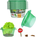 Fshow Garden Cloches，15 Pack Plastic Slug & Snail Plant Protection Collars,Snail Defense Without Chemistry, Snail Collar Protects Plants to Get Better. (Emerald Green)