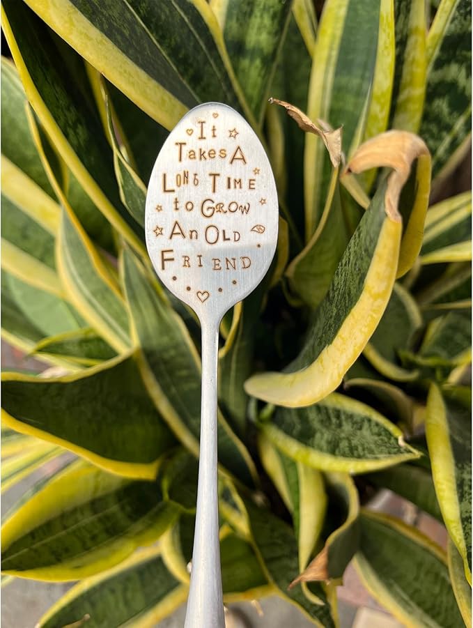Garden Plant Marker Friendship Gift for Women Gardeners, Plant Stake Label Sign Tag Gardening Gifts for Woman Plant Lovers, Metal Garden Decoration (Grow an Old Friend)