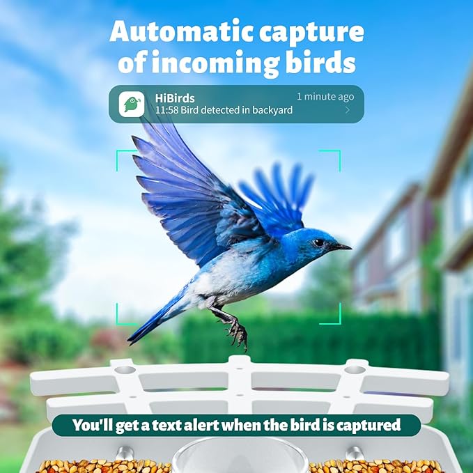 Smart Bird Feeder Camera AI Identify 8000+ Birds,Auto Capture Videos & APP Notify Video Camera for Bird Lovers-Ideal Gift for Family