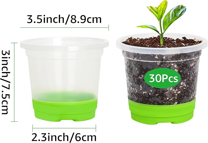 MIXC Thickened Clear Nursery Pots with Silicone Base for Easy Transplant 30 Packs 3.5 Inch, Transparent Plant Pot Reusable Seedling Pots for Vegetable Propagation, Root Cutting, Seed Starting, Green