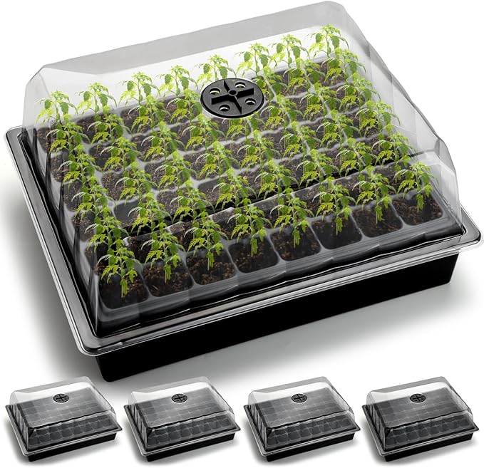 5-Pack No Drip Seed Starter Trays with 4" Humidity Dome - 240 Cells Deep Root Plug Trays, 2.76" Depth for Strong Roots Perfect for Vegetables, Herbs, Flowers & Plant Propagation, Gardening Supplies