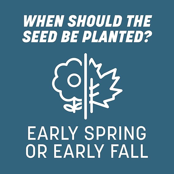 Pennington Smart Seed Northeast Grass Mix 3 lb