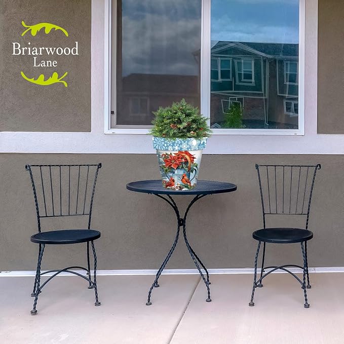 Briarwood Lane Winter Watering Can Medium Planter