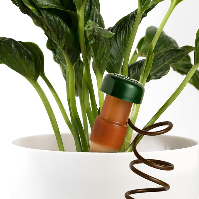 Blumat Classic Self-Watering Stakes - Automatic Drip Irrigation System for Indoor Plant Watering & Outdoor - Water Drip Solution for Potted Plants - Slow Release Stakes, 25 Pack, w Adapter