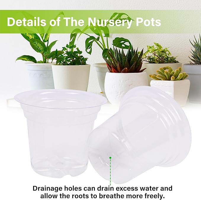 winemana 4 Inch Seed Starter Tray for Vegetable Herb Lettuce Seeds, Plant Pots for Potting Soil Indoor Plants, Clear Nursery Pots Plastic Planting Pots Garden Flower Pots- 60 Packs