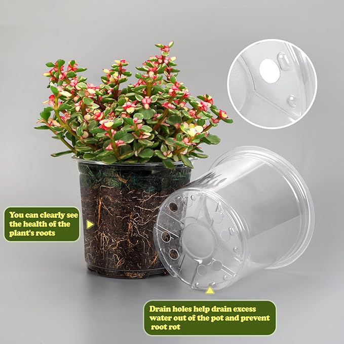 RAOOKIF 25 Pack 6 Inch Clear Nursery Pots with Drainage Holes, Flexible Plastic Nursery Pots for Plants, Reusable Garden Flower Pot, Seed Starter Pots
