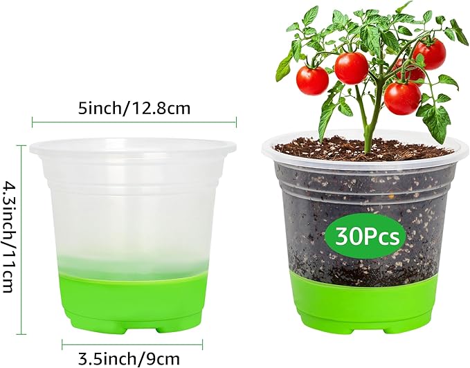 MIXC Thickened Clear Nursery Pots with Silicone Base for Easy Transplant 30 Packs 5 Inch, Transparent Plant Pot Reusable Seedling Pots for Vegetable Propagation, Root Cutting, Seed Starting, Green