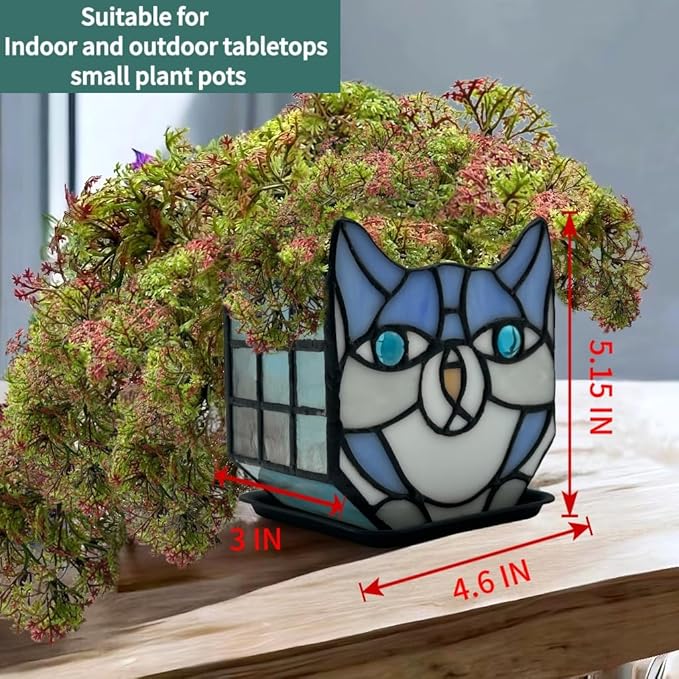 Indoor Plant Display Glass Container, Unique Pots for Plants, Glass Container Decoration,Suitable for Growing Small Plant 4.6x5.15x3 in（Excluding Plants）