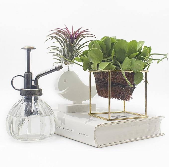 Plant Mister, Glass Watering Spray Bottle with Bronze Top Pump 6.5" Tall Decorative Mister for Plants and Flowers Small Watering Can for Indoor Potted Plants & Terrariums - Clear