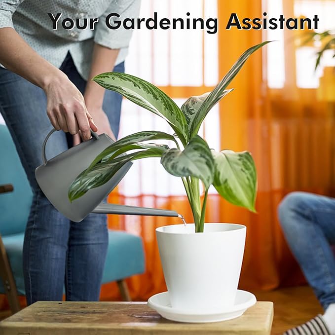 Watering Can for Indoor Outdoor Plants, Modern Small Watering Cans with Removable Nozzle, Long Spout Watering Can for Indoor Bonsai Plants Garden Flowers 1/2 Gallon 1.8L 60OZ (Grey)