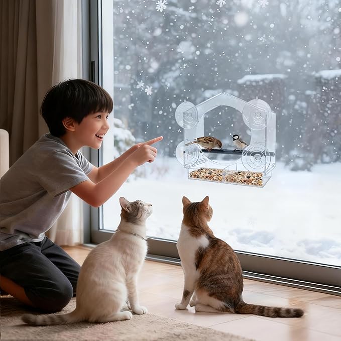 Window Bird Feeder with Strong Suction Cups - 2Pack Clear Sturdy Acrylic Birdfeeder for Outside Windows, 360° Clear View - No Drill Easy Install, Perfect for Cardinals & Finches,etc(2025 New)