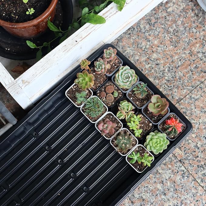 BangQiao 200 Pack 1.95 Inch Tiny Black Plastic Square Nursery and Seedling Pot, Mini Transplant Seed Starter Planter with Drain Hole for Germination, Herb, Succulent