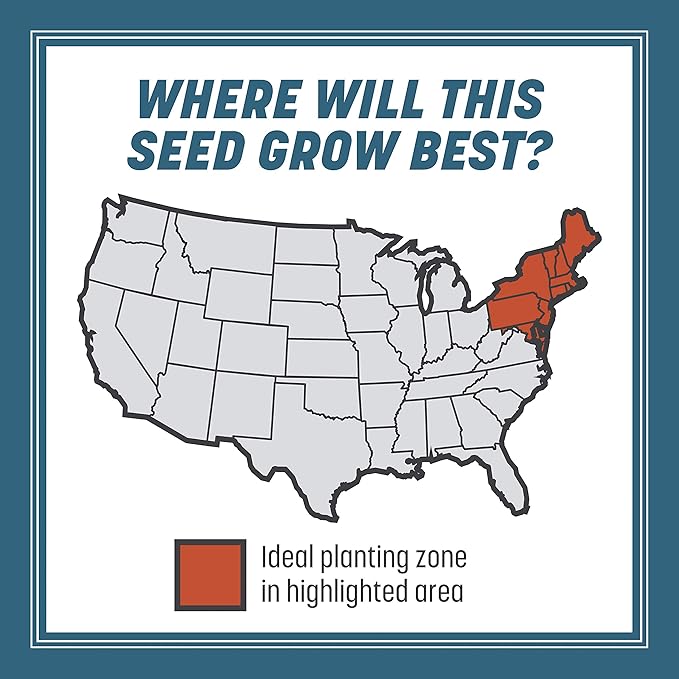 Pennington Smart Seed Northeast Grass Mix 3 lb