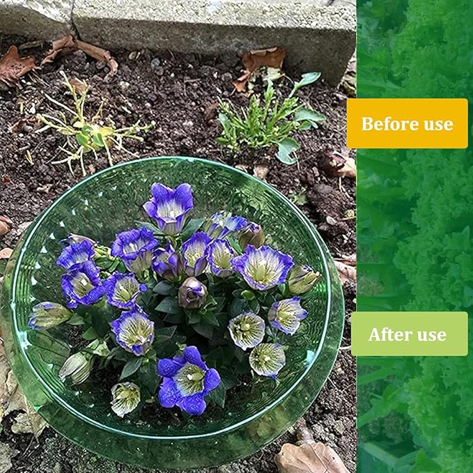 Fshow Garden Cloches，15 Pack Plastic Slug & Snail Plant Protection Collars,Snail Defense Without Chemistry, Snail Collar Protects Plants to Get Better. (Emerald Green)