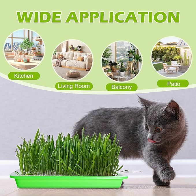 EBaokuup 5 Pcs Seed Sprouter Tray with Drain Holes - BPA Free Seed Germination Propagation Trays, Soil-Free Wheatgrass Bean Sprouts Microgreens Growing Kit with Germinating Paper