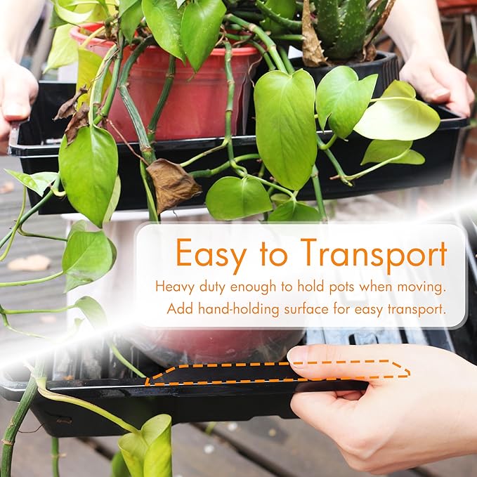 Gardzen 10 Pack Seed Trays, Reusable Plant Grow Trays, Ideal for Seed Starting, Microgreens, Indoor Gardening, and Greenhouse Plant Nurseries - No Drain Holes, 15.7" x 11.6"