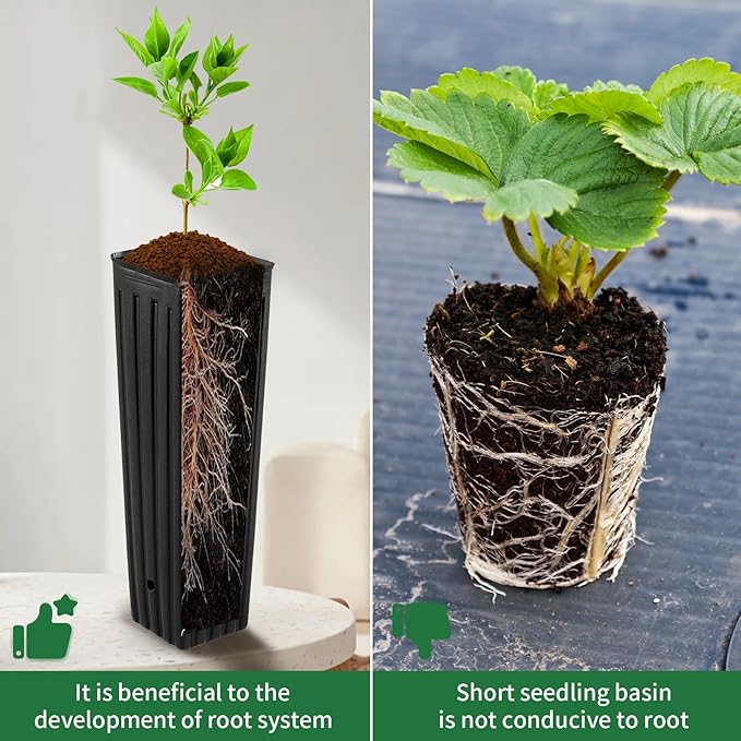 50 Pcs 12" Tall Tree Pots Plastic Deep Nursery Pots Tall Nursery Tree Pots Plant Deep Seedling Pots, Flower Plant Container Pots with 3 Pcs Garden Tools for Indoor Outdoor Use