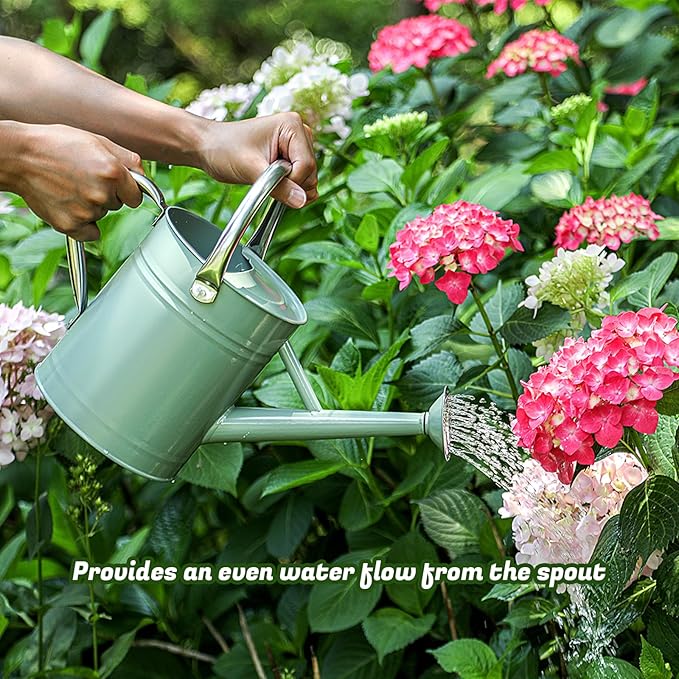 1 Gallon Watering Can for Plants, Watering Cans for Indoor&Outdoor Gardening, Galvanized Steel Watering Pot with Removable Spout, Metal Water Can with Ergonomic Movable Handle(Cream Green)