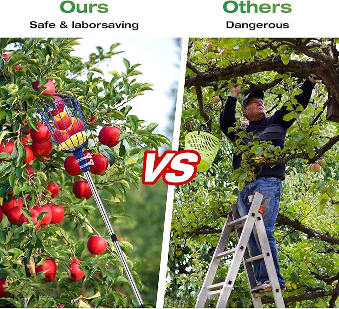 RAIN SPIRIT Fruit Picker Pole with Basket Telescoping tool extension fruit picking rod, Mango Picker, orange picking equipment, fruit picking basket with Adjustable stainless steel rod (6 ft)
