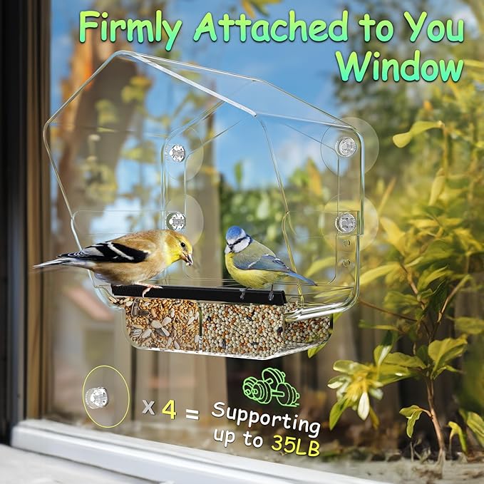 Ermete Window Bird Feeder with Strong Suction Cups, Large View Clear Feeder, Seed Tray, 13in x 5.5in x 4.2in for Outside Weather Proof (S2)
