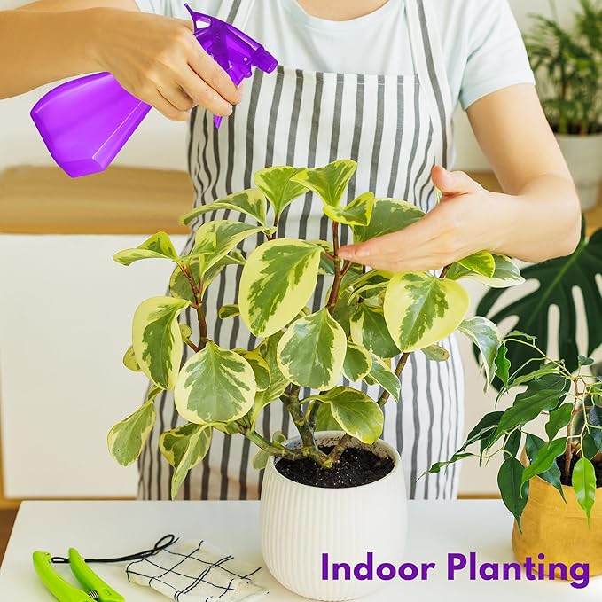 DilaBee (8oz 2-Pack Plastic Spray Bottle - Water Spray Bottle for Hair, Cooking, Cat Training & Cleaning Solution, Plant Misters for Inside & Outside - Spritzer Bottles for BBQ BPA-Free. Blue-Purple