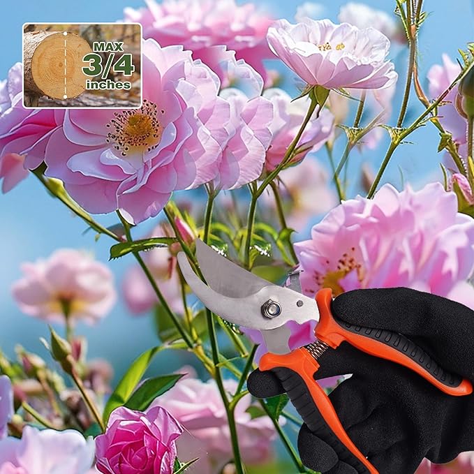 8 Piece Stainless Steel Gardening Tool Set - 17 Tine Heavy Duty Rake, 5 Piece Hand Tool Kit, Pruning Shears, and Gloves - All Season Gardening Essentials