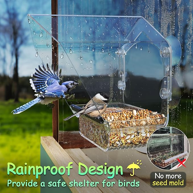Ermete Window Bird Feeder with Strong Suction Cups, Large View Clear Feeder, Seed Tray, 13in x 5.5in x 4.2in for Outside Weather Proof (S2)