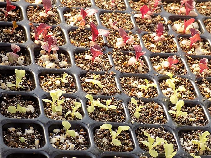 AIFUSI 10 Pack Seed Starter Kit, 72 Cell Seedling Trays Gardening Germination Plastic Tray Nursery Pots Mini Propagator Plant Grow Kit Plug Tray Starting Trays for Seedling Germination