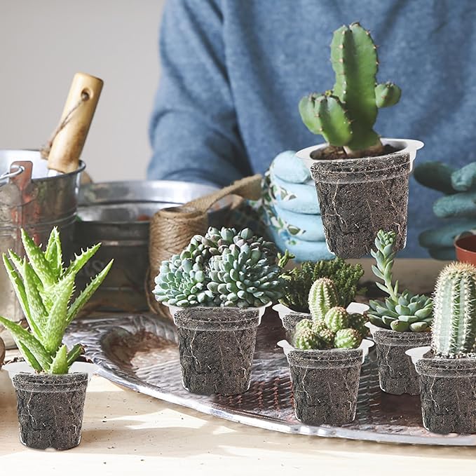 winemana 4 Inch Seed Starter Tray for Vegetable Herb Lettuce Seeds, Plant Pots for Potting Soil Indoor Plants, Clear Nursery Pots Plastic Planting Pots Garden Flower Pots- 60 Packs