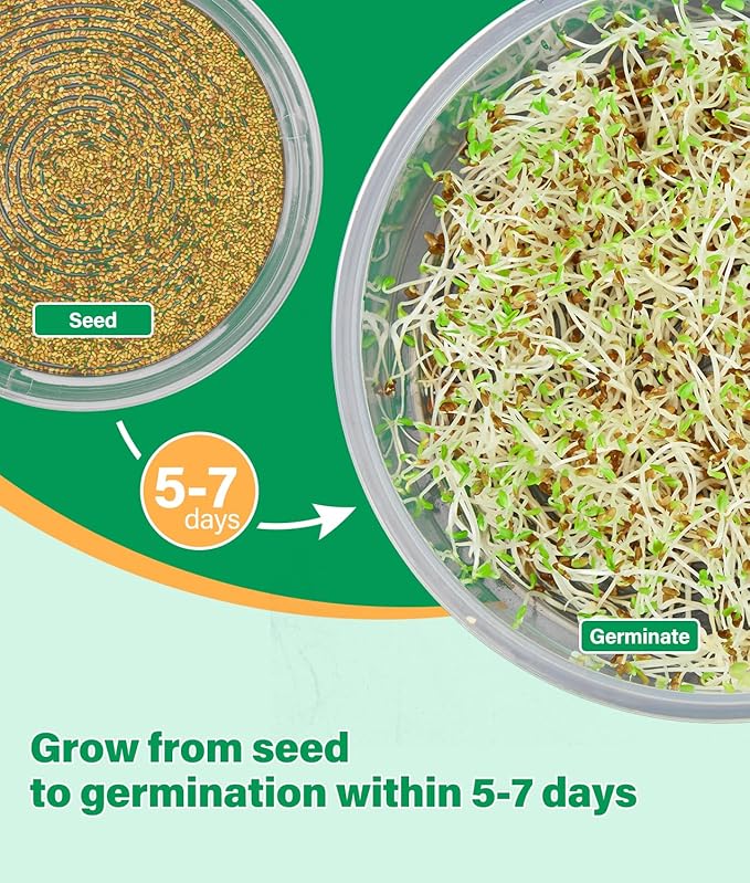 HK Stackable Seed Sprouting Kit, 4-Tier Microgreens Growing Kit with Drain Holes and Drain Tray, Fresh Organic Bean Seed Sprouter Tray, Soil-Free Sprouter Tray for Beans Alfalfa Seeds