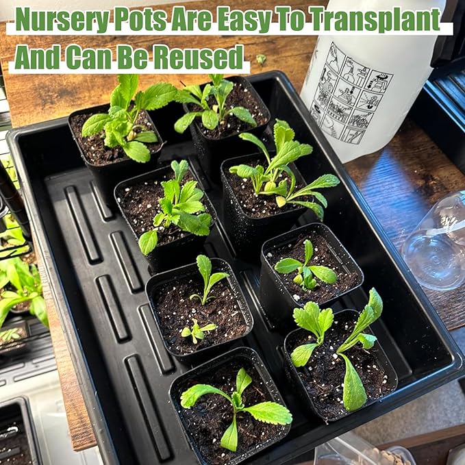 5 Pcs Seed Starter Tray, 3.5 Inch (9CM) 60 Pcs Nursery Pots Kit, Thickened Seed Starting Trays Square Seedling Pots for Plants Sturdy Microgreens Growing Trays Reusable Germination Tray(Black)