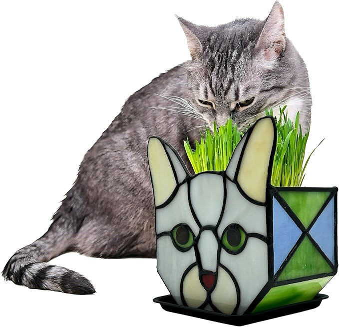 Stained Glass Grey Cat Succulent Planter,Grey Cat Flower Pot,Decorative Plant Pots,Cute Planters for Indoor Plants,with Drainage and Tray, Pen Holder Glass Container,Gifts for Plant Lovers