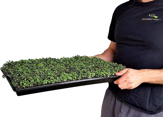 Bootstrap Farmer Microgreen Growing Trays, White 30 Pack, No Holes Heavy Duty Sprouting Tray